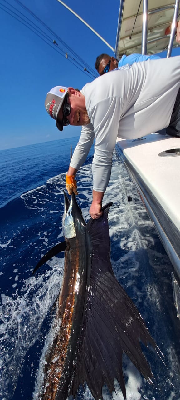 Quepos Sailfish