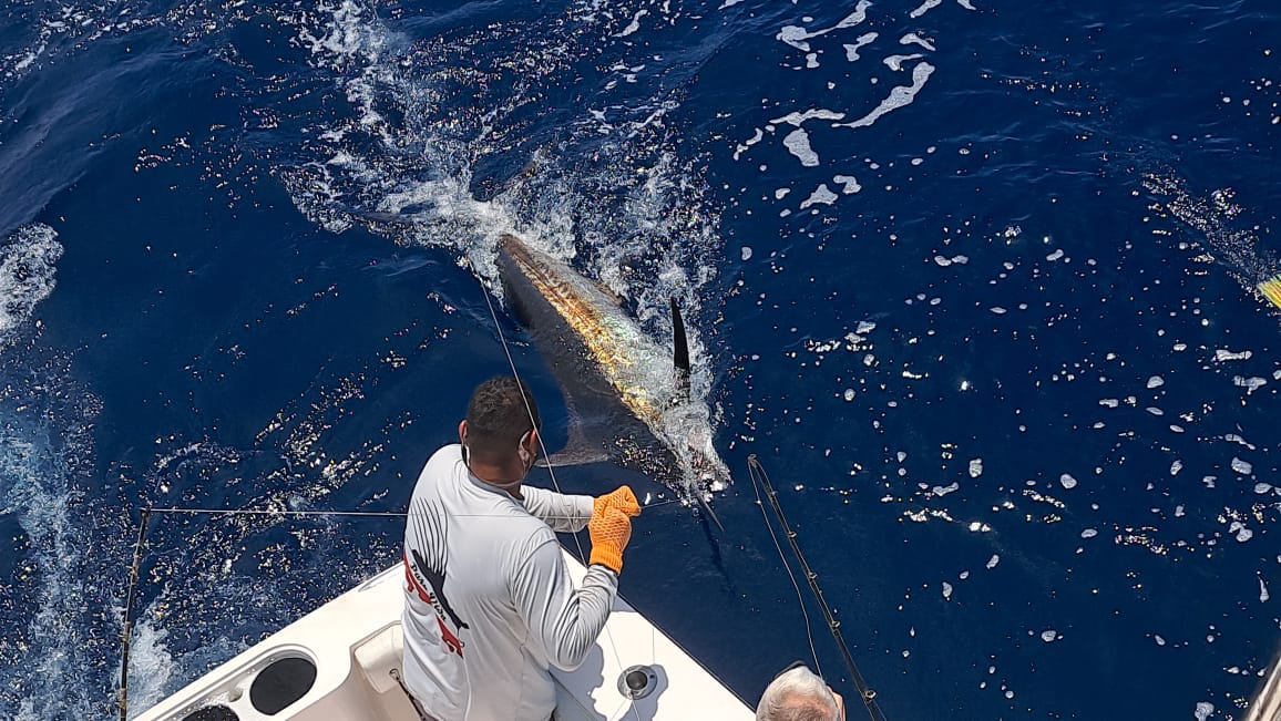 Costa Rica Marlin